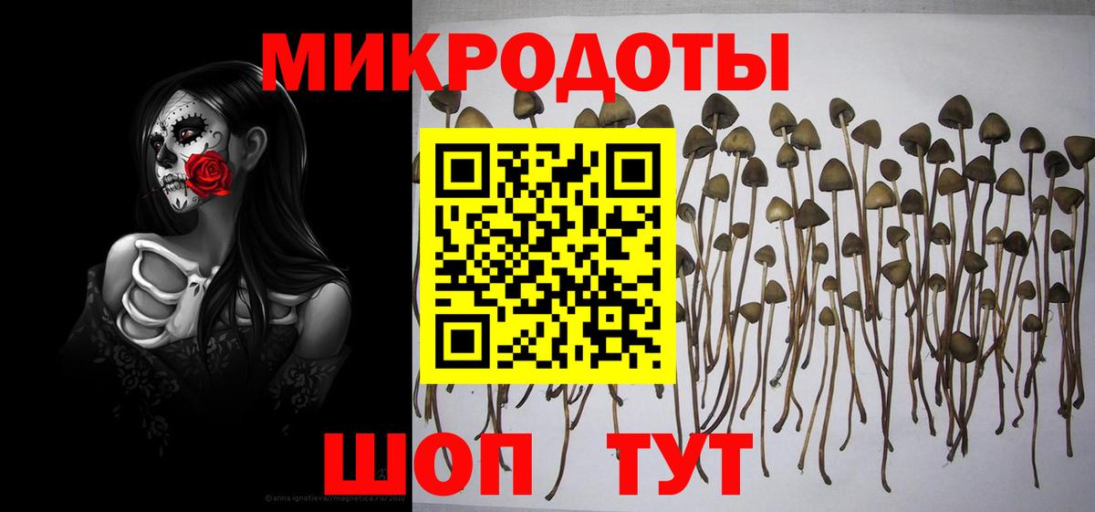 Псилоцибиновые грибы Psilocybe  Псилоцибиновые грибы мицелий  Вход с VPN  Тула 